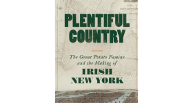 Book cover for Plentiful Country