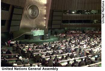 [picture: United Nations General Assembly]  