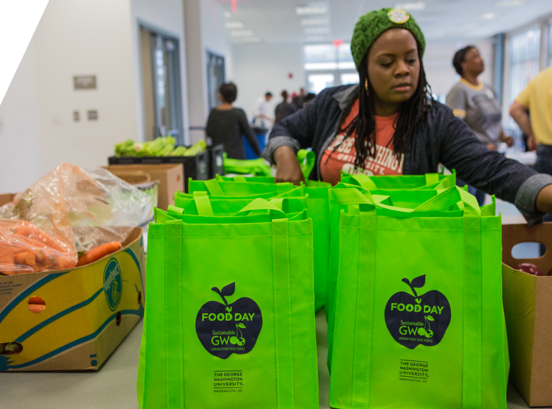 Woman packing grocery bags with healthy food 