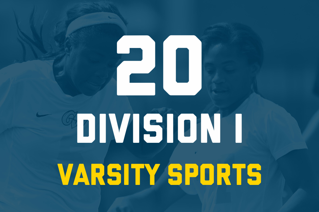 20 Division 1 Varsity Sports