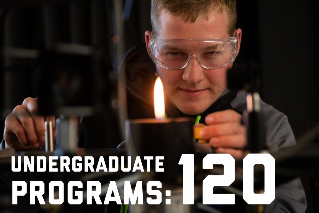 Undergraduate Programs: 120