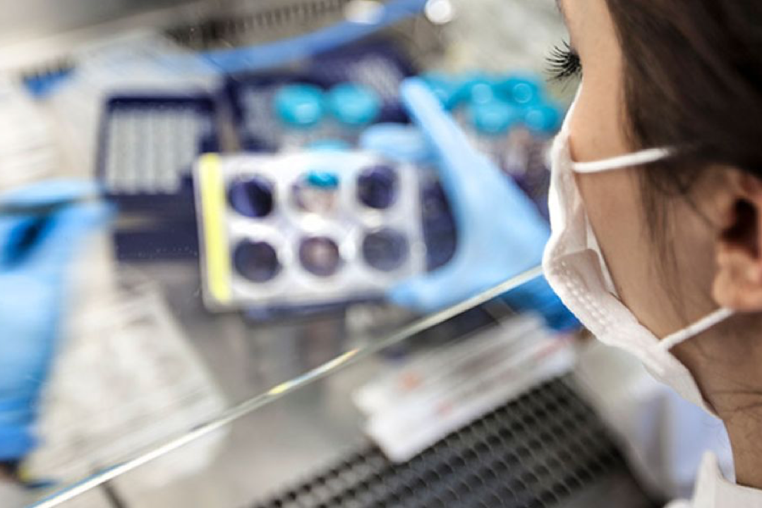 A scientist conducts a lab test