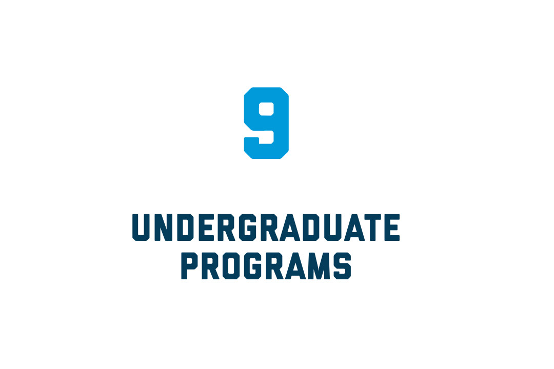 There are 9 undergraduate programs in the Corcoran School of Arts and Design