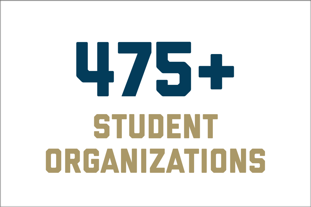 Undergraduate Admissions The Washington University