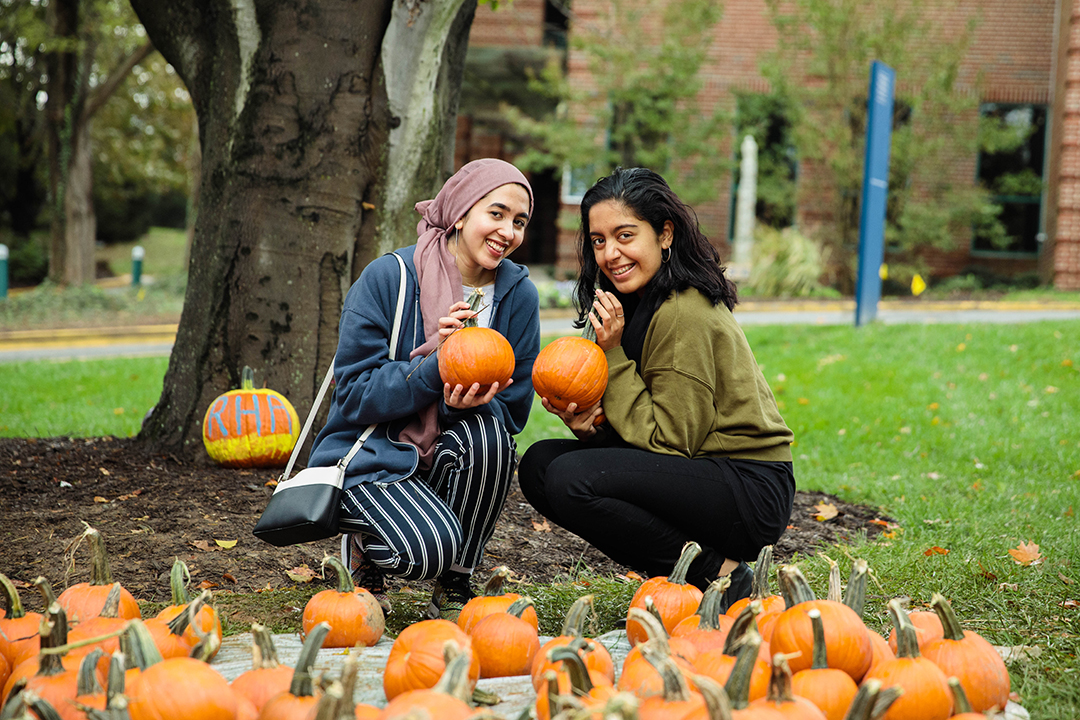 Two women sitting in front of many pumpkins