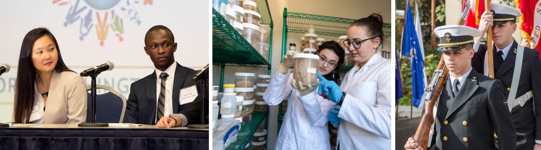 collection of student experiences