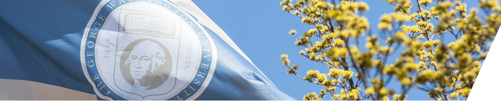 The GW flag waving and yellow flower blossoms with a blue sky in the background